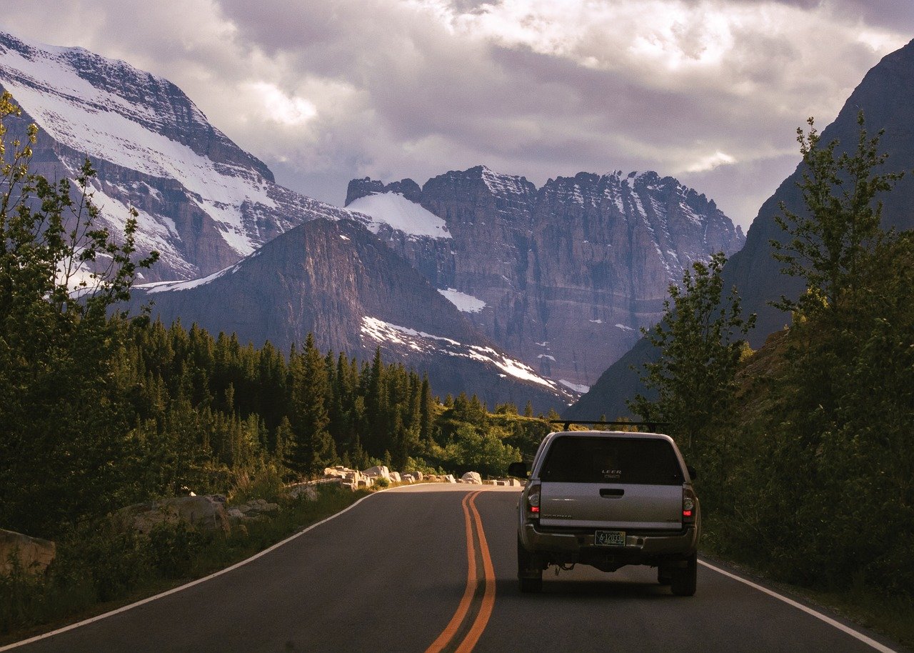 The Best Pet-Friendly National Parks